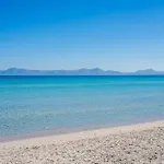 Ideal Property Mallorca - Flor
